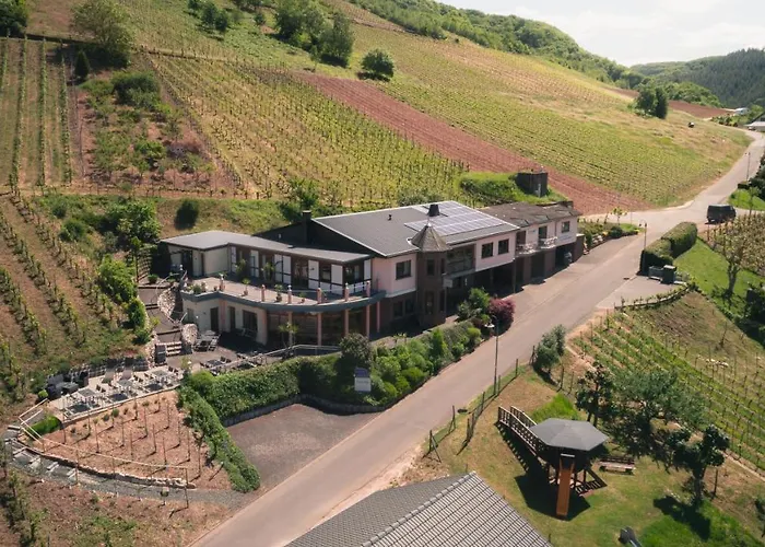 Urlaubsweingut Zecherhof Apartamento Neef