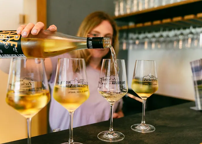 Urlaubsweingut Zecherhof Apartamento *