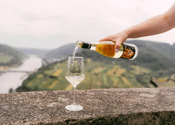 Urlaubsweingut Zecherhof Apartamento Neef