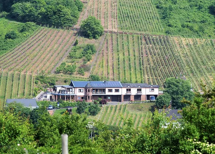 Urlaubsweingut Zecherhof * Neef