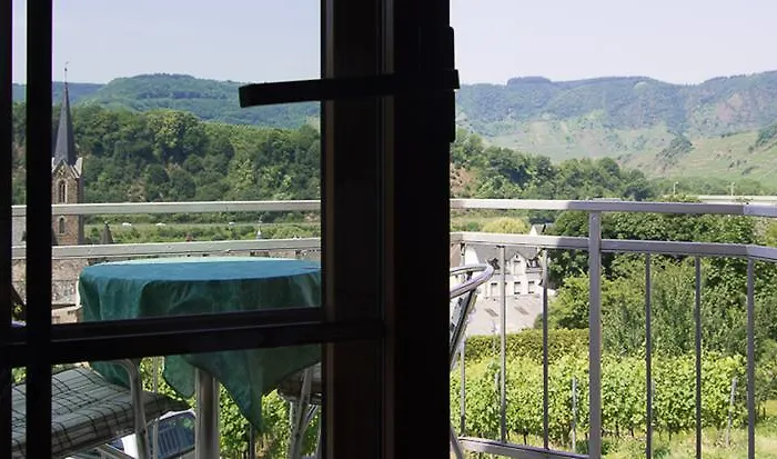 Urlaubsweingut Zecherhof *